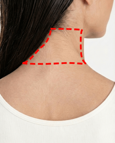 Gemini_Generated_Image_9qgsoo9qgsoo9qgs_cleanup (1)